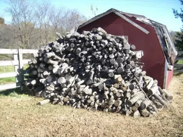 [Hearth.com] How much wood do you think this is?