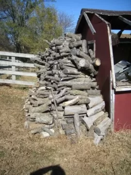 [Hearth.com] How much wood do you think this is?
