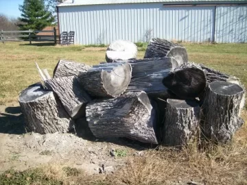 [Hearth.com] How much wood do you think this is?