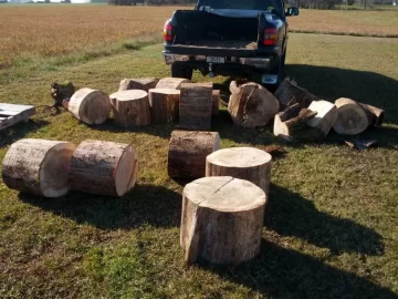 [Hearth.com] wood id please (free wood score)