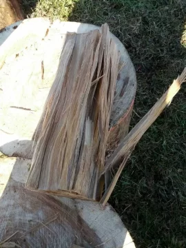 [Hearth.com] wood id please (free wood score)