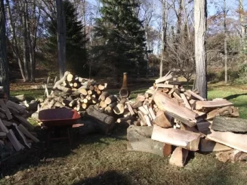 [Hearth.com] Saw Buck for Sandy wood