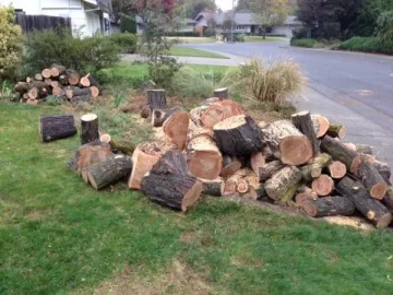 [Hearth.com] Locust Wood ID?
