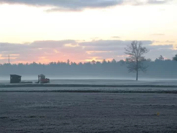 [Hearth.com] Frost and fog on the bogs..