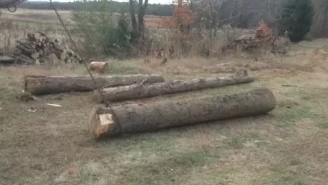 [Hearth.com] Downed Red Oak