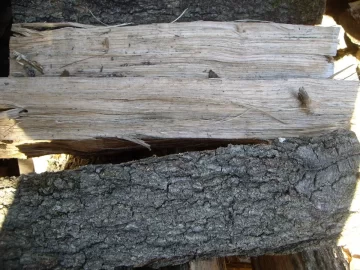[Hearth.com] Wood ID in western Massachusstes