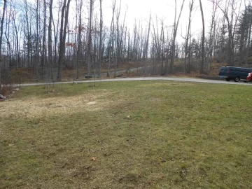 [Hearth.com] Trees in yard