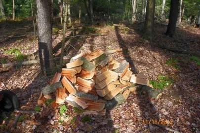 [Hearth.com] Work for Saturday