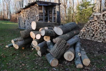 [Hearth.com] More Free Wood