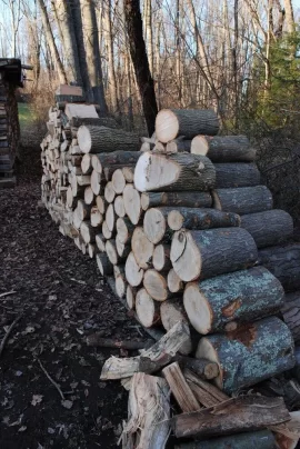 [Hearth.com] More Free Wood