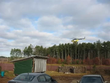 [Hearth.com] Large bird spotted over woodpile!