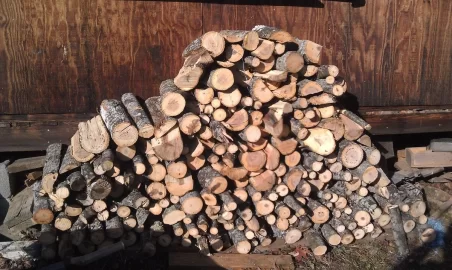[Hearth.com] Been cutting a little today with a pic.