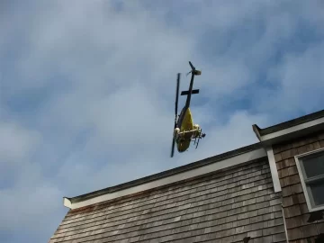 [Hearth.com] Large bird spotted over woodpile!