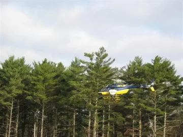 [Hearth.com] Large bird spotted over woodpile!