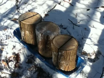 [Hearth.com] What do you use to haul your wood out of the woods to the wood pile