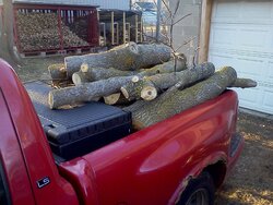 What do you use to haul your wood out of the woods to the wood pile