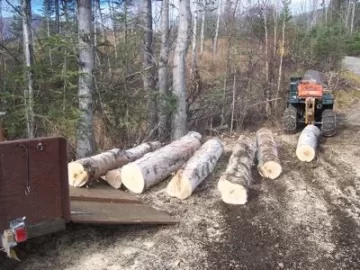 [Hearth.com] What do you use to haul your wood out of the woods to the wood pile