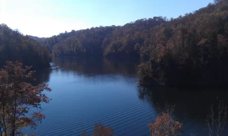 [Hearth.com] John Flannagan Dam pics.