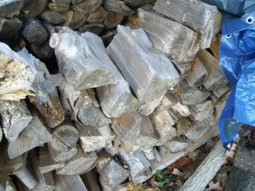 [Hearth.com] Wood ID in western Massachusstes