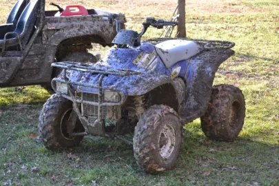 [Hearth.com] My Rhino Fell in a Mud Puddle!