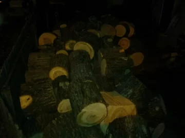 [Hearth.com] Over 100 rounds of ash!