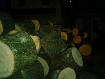 [Hearth.com] Over 100 rounds of ash!