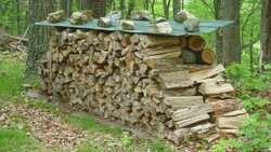 how do i keep my wood dry while i wait for it to season ?