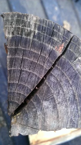 [Hearth.com] wood id help please with pics