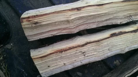 [Hearth.com] wood id help please with pics