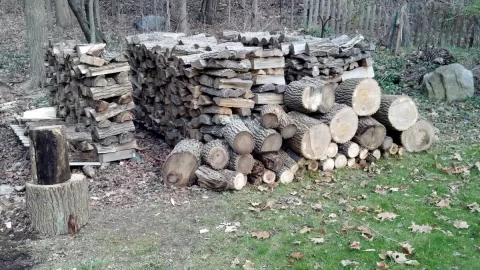 [Hearth.com] A small scrounge...