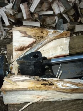 [Hearth.com] Ya Got To love Those Ants!