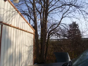 [Hearth.com] Pro Tree trimmers/surgens, cost,Est. to bring down trees ??