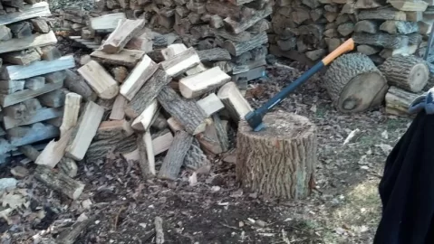 [Hearth.com] Happy Thanksgiving Ya'll