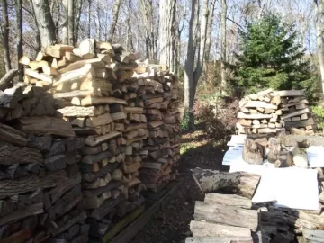 [Hearth.com] Wood Potpurri (and oysters). pic heavy