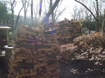 [Hearth.com] Wood Potpurri (and oysters). pic heavy