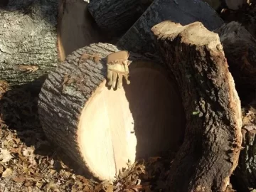 [Hearth.com] Wood Potpurri (and oysters). pic heavy