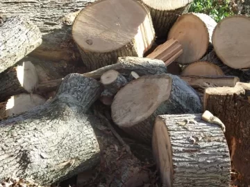 [Hearth.com] Wood Potpurri (and oysters). pic heavy
