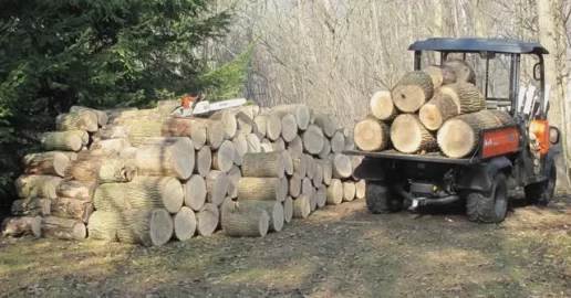 [Hearth.com] Nice Day in Ontario to cut some ash