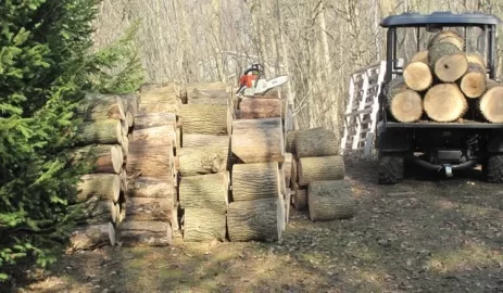 [Hearth.com] Nice Day in Ontario to cut some ash