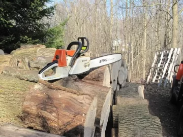 [Hearth.com] Nice Day in Ontario to cut some ash