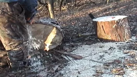 [Hearth.com] Bucking Silver Maple
