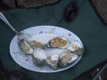 [Hearth.com] Wood Potpurri (and oysters). pic heavy