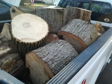 [Hearth.com] Black Friday Red Oak Specials