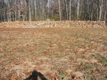 [Hearth.com] Thanksgiving Day Hickory