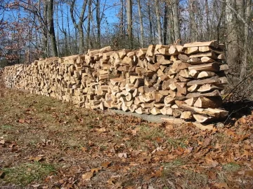 [Hearth.com] Thanksgiving Day Hickory