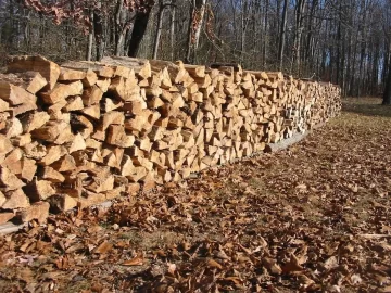 [Hearth.com] Thanksgiving Day Hickory