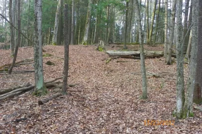 [Hearth.com] Made Room for........