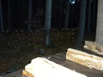 [Hearth.com] Hemlock Seasoning Time