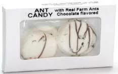 [Hearth.com] Ya Got To love Those Ants!