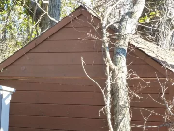 [Hearth.com] Need 3 Tree's Identified to get even with them